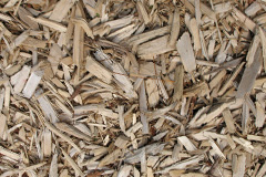 biomass boilers Camelon